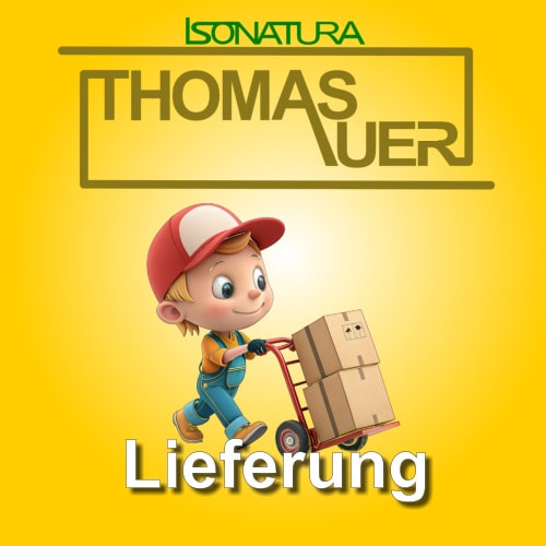 lieferung-beitragsbild