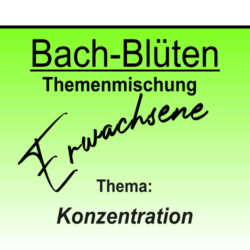 Konzentration