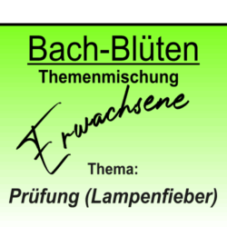 Prüfung (Lampenfieber)