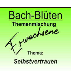 Selbstvertrauen