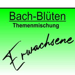 Themenmischungen Erwachsene