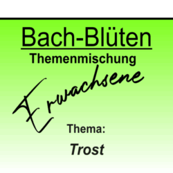 Trost