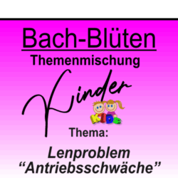 Lernproblem "Antriebsschwäche" - KIDS