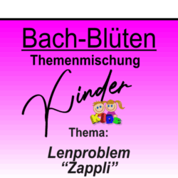 Lernproblem "Zappli" - KIDS
