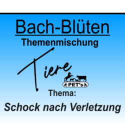 Schock nach Verletzung - PETs