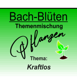 Kraftlos