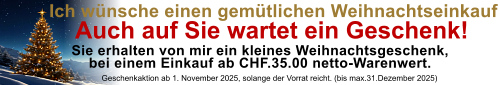 Weihnachtsaktion 2025 für Artikelseiteneinblendung