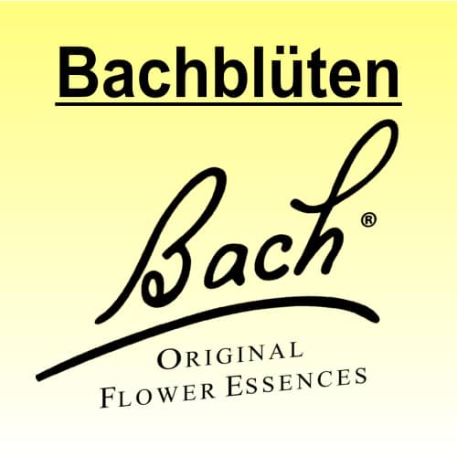 bachblüten hauptbild kategorien