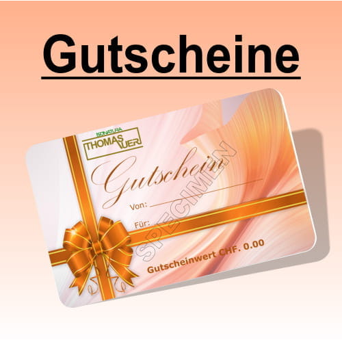 gutscheine hauptkategorie bild