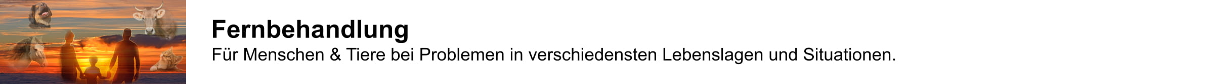 Fernbehandlung Infobutton DT - Home Isonatura thomas-auer