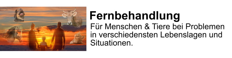 Fernbehandlung Infobutton Mob