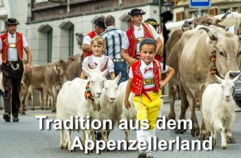 Naturheil- & Lebensberatungspraxis Auer - Beitragsbild 2